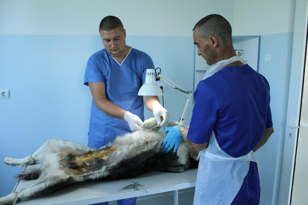 sterilization_may16_6